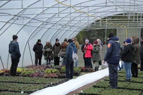 Magnus Wändel berättade om allt från hur de väljer friska sorter till vikten av att odla rätt växt på rätt plats vid studiebesöket i Wändels perennodling. Foto: Marie Wändel