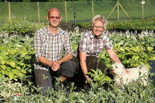Magnus och Marie Wändel bland klimatcertifierade funkior i odlingen i Löddeköpinge. Träffa dem på Elmia Garden!