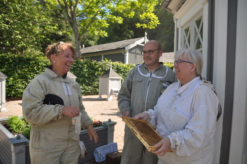 Monica Larsson, Bengt Cederlöw och Cecilia Cederlöw är medlemmar i Biföreningen Lilla Båstad som ansvarar för Norrvikens bigård.